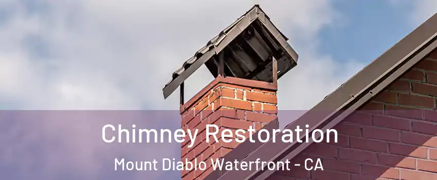 Chimney Restoration Mount Diablo Waterfront - CA