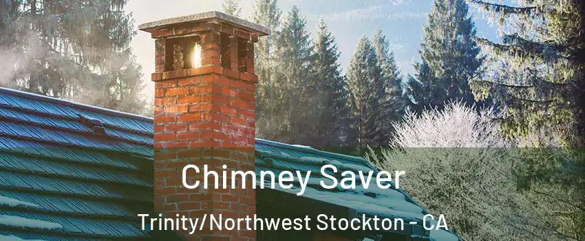 Chimney Saver Trinity/Northwest Stockton - CA