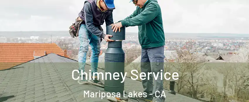 Chimney Service Mariposa Lakes - CA