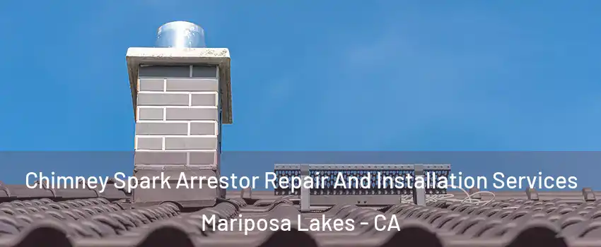 Chimney Spark Arrestor Repair And Installation Services Mariposa Lakes - CA