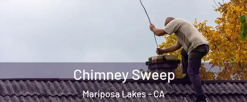 Chimney Sweep Mariposa Lakes - CA