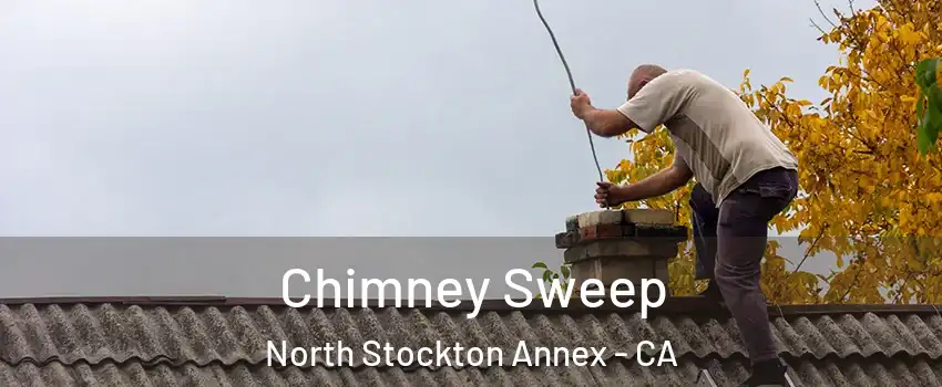 Chimney Sweep North Stockton Annex - CA