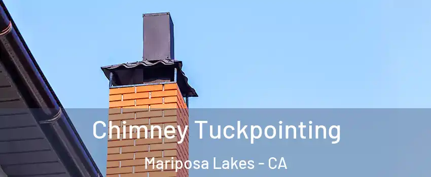 Chimney Tuckpointing Mariposa Lakes - CA