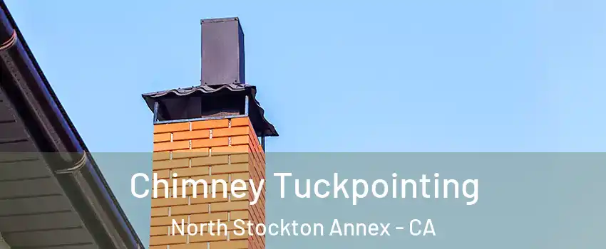 Chimney Tuckpointing North Stockton Annex - CA