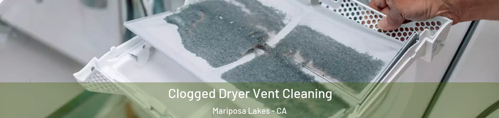 Clogged Dryer Vent Cleaning Mariposa Lakes - CA