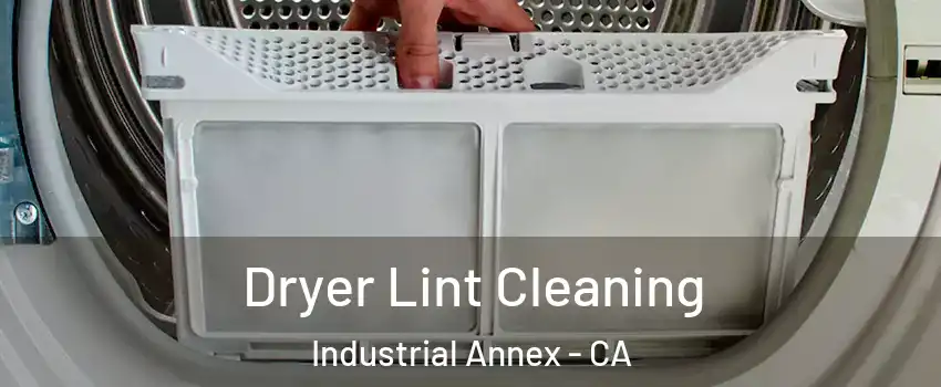 Dryer Lint Cleaning Industrial Annex - CA