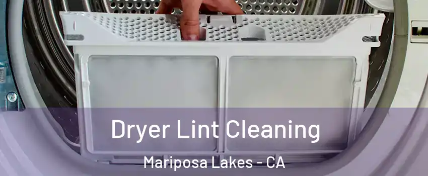 Dryer Lint Cleaning Mariposa Lakes - CA