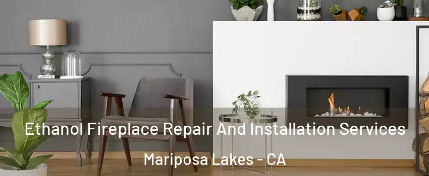 Ethanol Fireplace Repair And Installation Services Mariposa Lakes - CA
