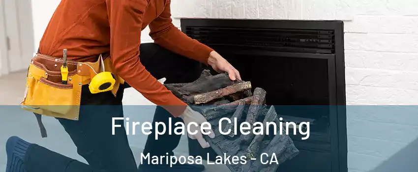 Fireplace Cleaning Mariposa Lakes - CA