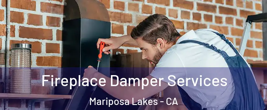 Fireplace Damper Services Mariposa Lakes - CA