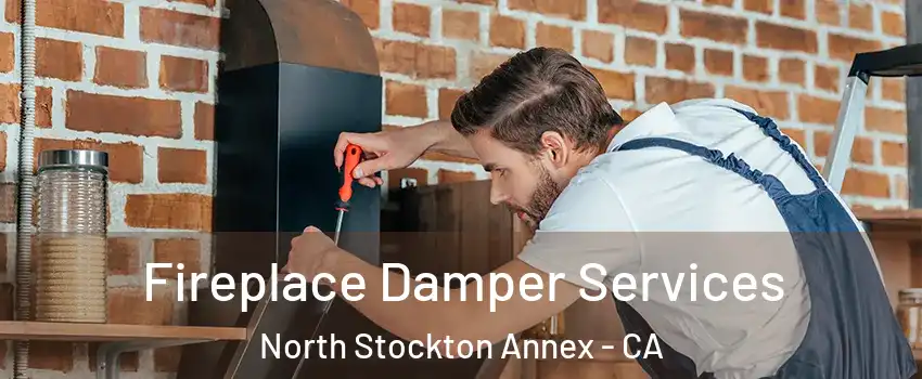 Fireplace Damper Services North Stockton Annex - CA