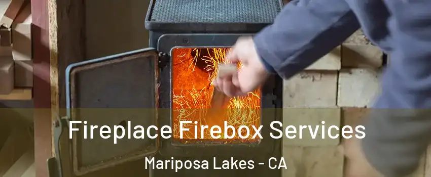 Fireplace Firebox Services Mariposa Lakes - CA