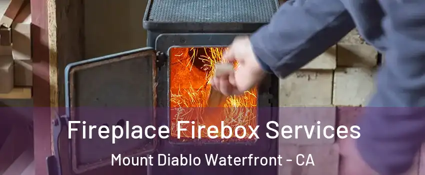 Fireplace Firebox Services Mount Diablo Waterfront - CA