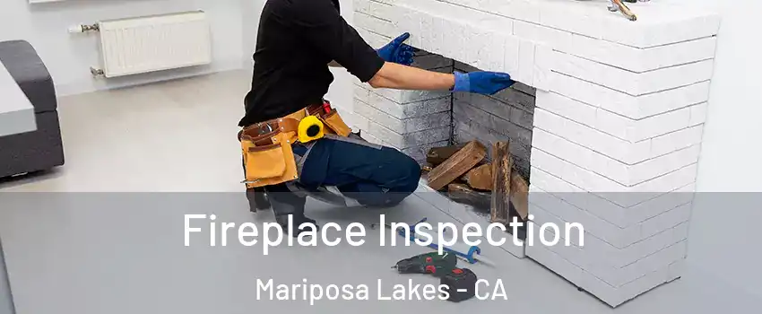 Fireplace Inspection Mariposa Lakes - CA