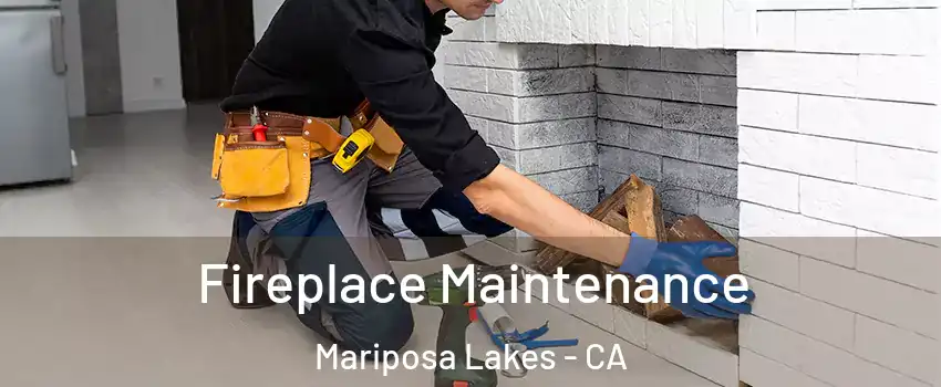 Fireplace Maintenance Mariposa Lakes - CA