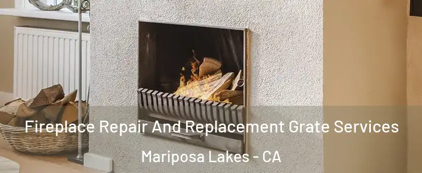 Fireplace Repair And Replacement Grate Services Mariposa Lakes - CA