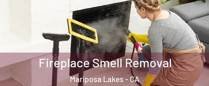 Fireplace Smell Removal Mariposa Lakes - CA