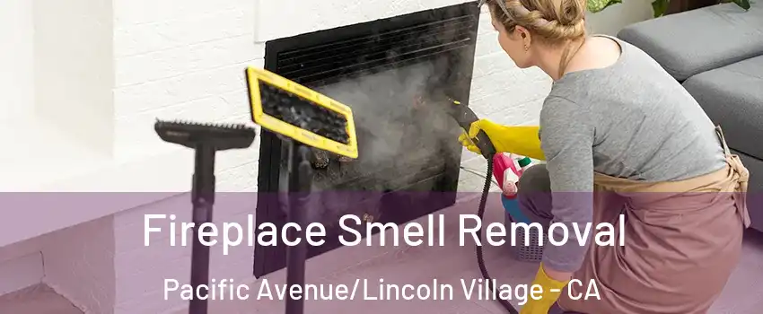 Fireplace Smell Removal Pacific Avenue/Lincoln Village - CA