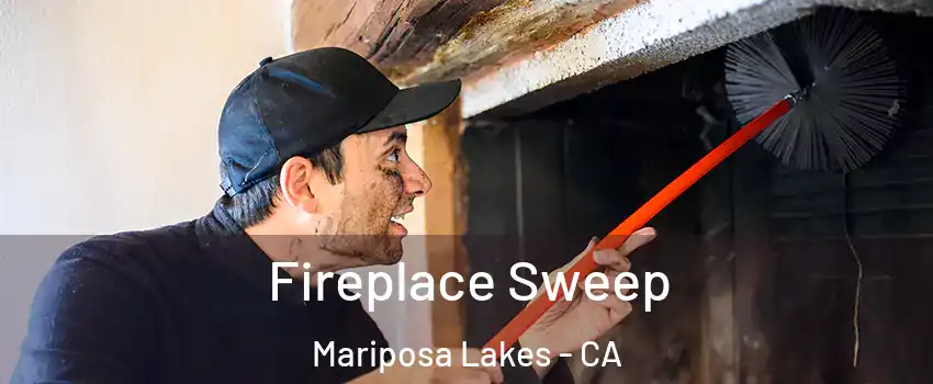 Fireplace Sweep Mariposa Lakes - CA
