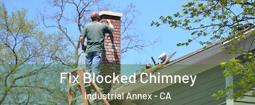 Fix Blocked Chimney Industrial Annex - CA