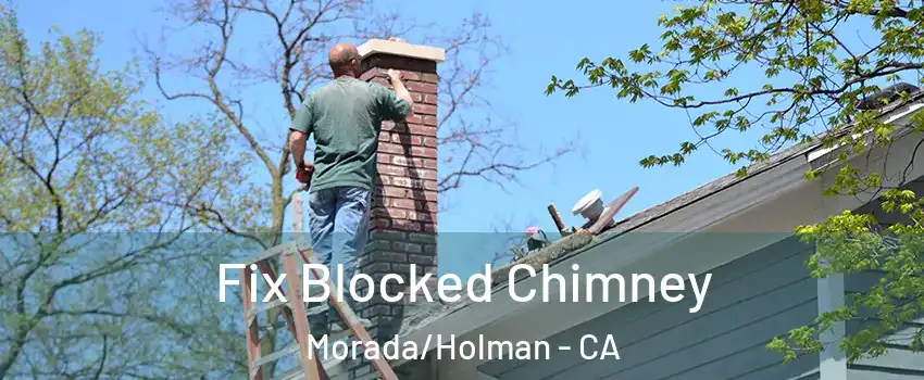 Fix Blocked Chimney Morada/Holman - CA
