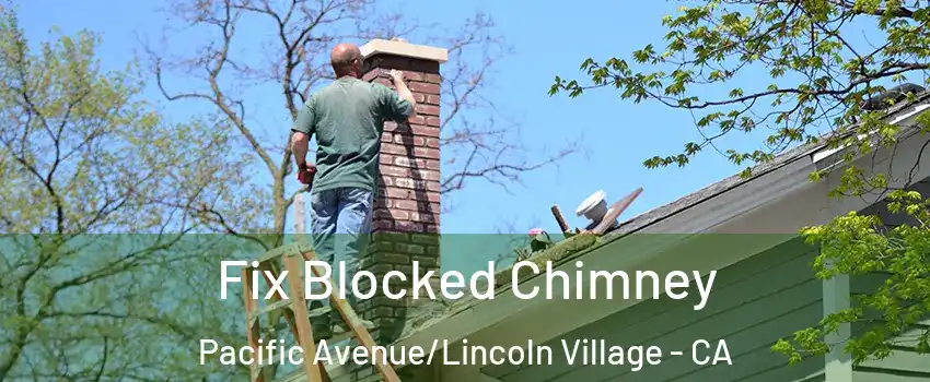 Fix Blocked Chimney Pacific Avenue/Lincoln Village - CA
