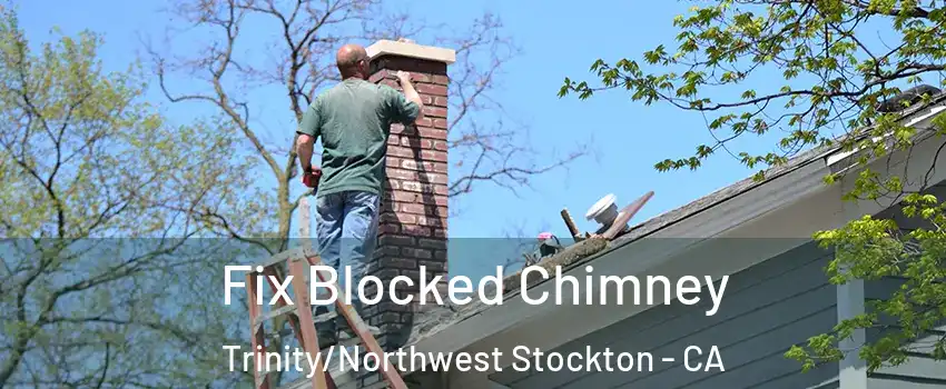 Fix Blocked Chimney Trinity/Northwest Stockton - CA