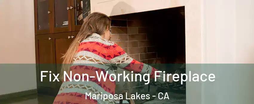 Fix Non-Working Fireplace Mariposa Lakes - CA