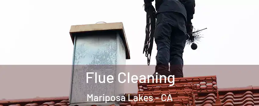 Flue Cleaning Mariposa Lakes - CA