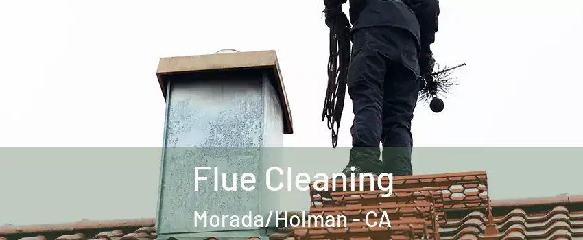 Flue Cleaning Morada/Holman - CA