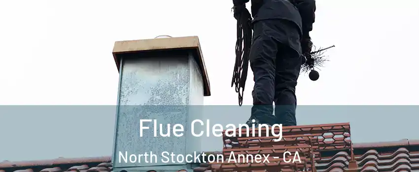 Flue Cleaning North Stockton Annex - CA