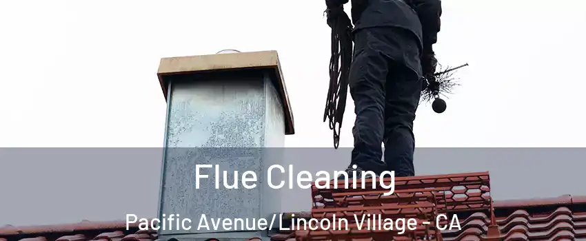 Flue Cleaning Pacific Avenue/Lincoln Village - CA