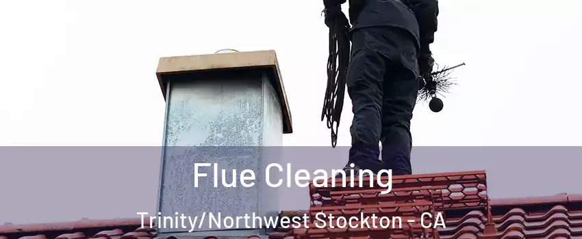 Flue Cleaning Trinity/Northwest Stockton - CA