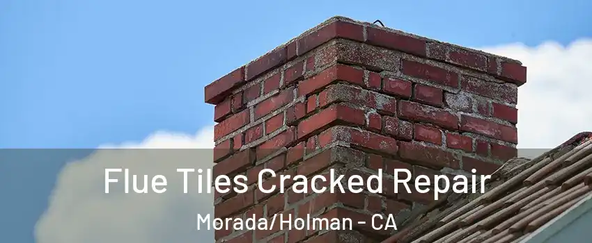 Flue Tiles Cracked Repair Morada/Holman - CA