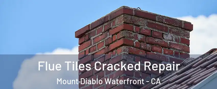 Flue Tiles Cracked Repair Mount Diablo Waterfront - CA