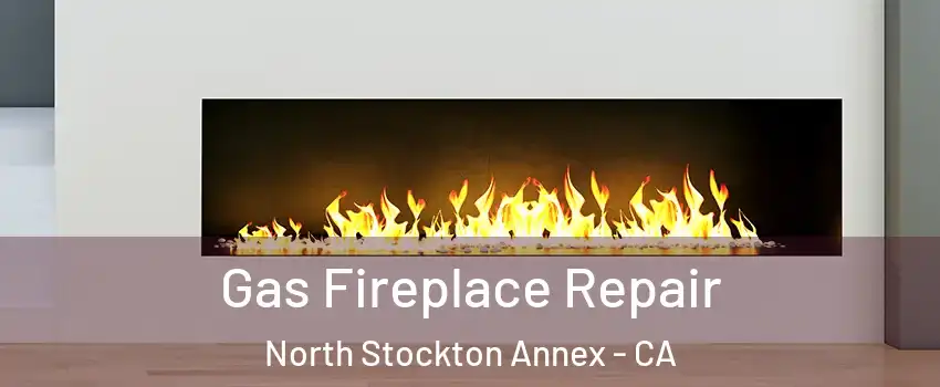 Gas Fireplace Repair North Stockton Annex - CA