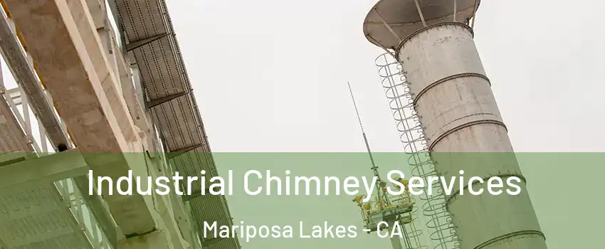 Industrial Chimney Services Mariposa Lakes - CA
