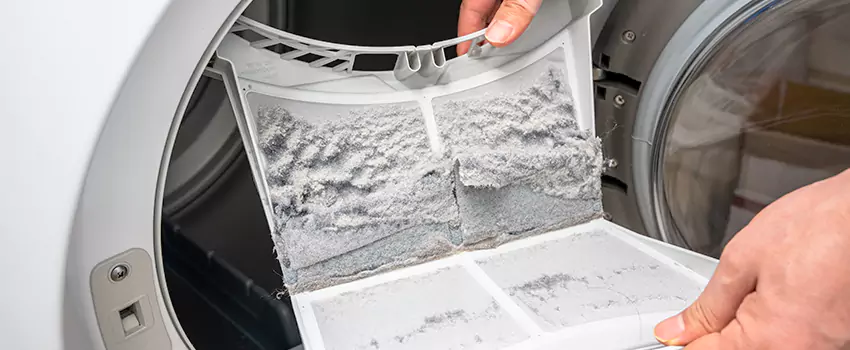 Best Dryer Lint Removal Company in Eight Mile/Bear Creek, California