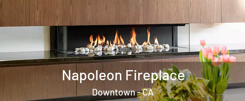 Napoleon Fireplace Downtown - CA