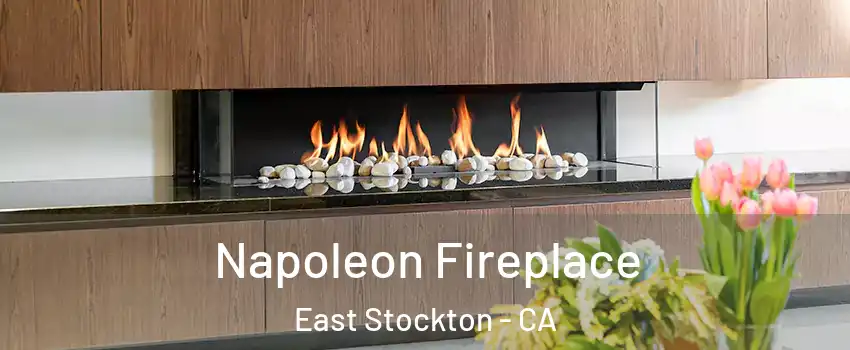 Napoleon Fireplace East Stockton - CA