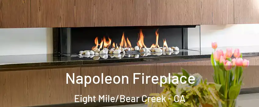 Napoleon Fireplace Eight Mile/Bear Creek - CA