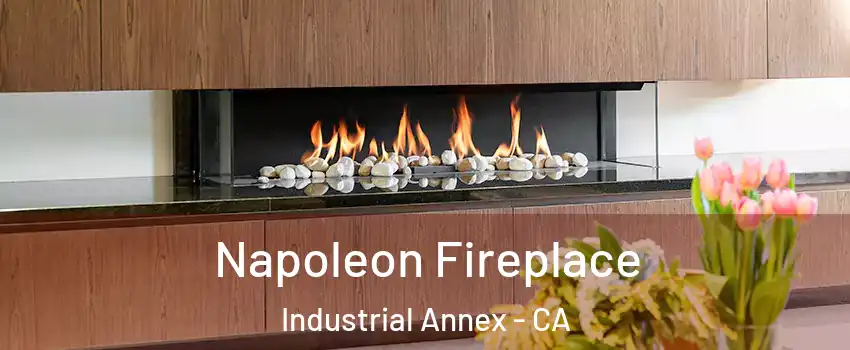 Napoleon Fireplace Industrial Annex - CA