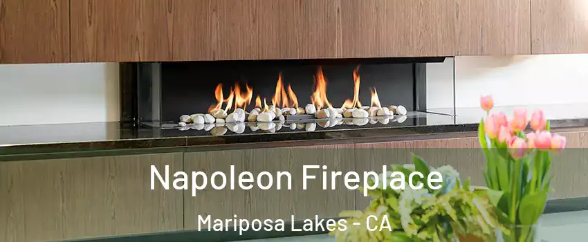 Napoleon Fireplace Mariposa Lakes - CA