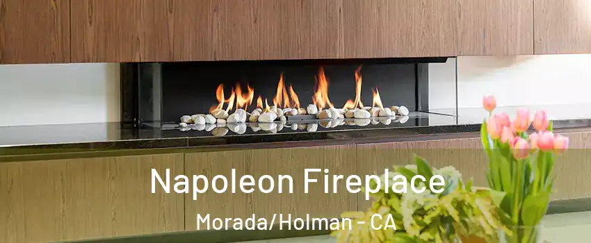 Napoleon Fireplace Morada/Holman - CA
