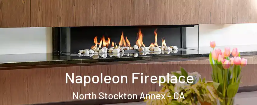 Napoleon Fireplace North Stockton Annex - CA