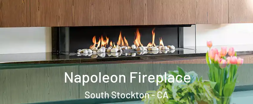 Napoleon Fireplace South Stockton - CA