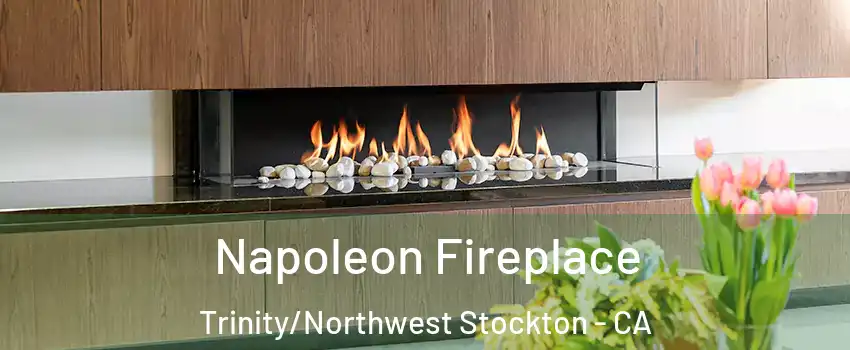 Napoleon Fireplace Trinity/Northwest Stockton - CA