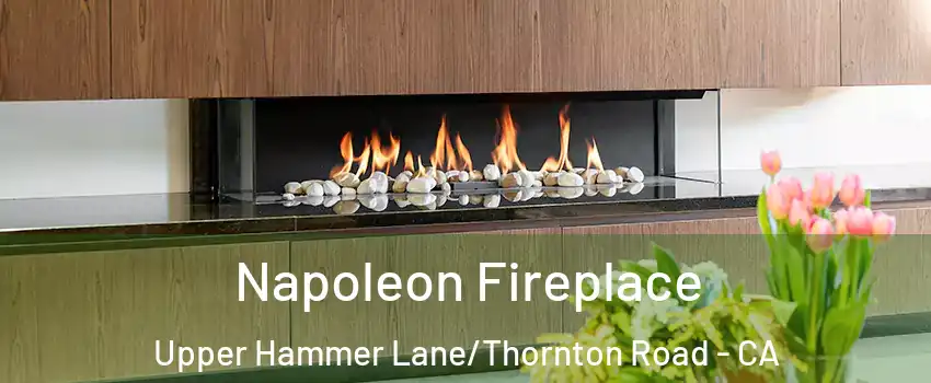 Napoleon Fireplace Upper Hammer Lane/Thornton Road - CA