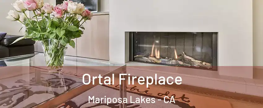 Ortal Fireplace Mariposa Lakes - CA