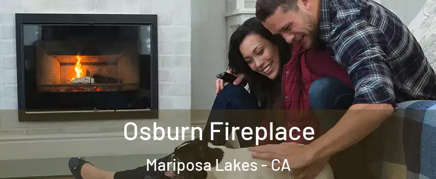 Osburn Fireplace Mariposa Lakes - CA